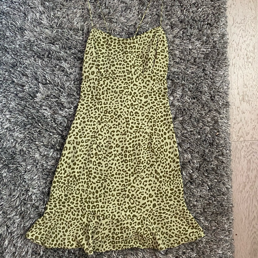 Zara dress